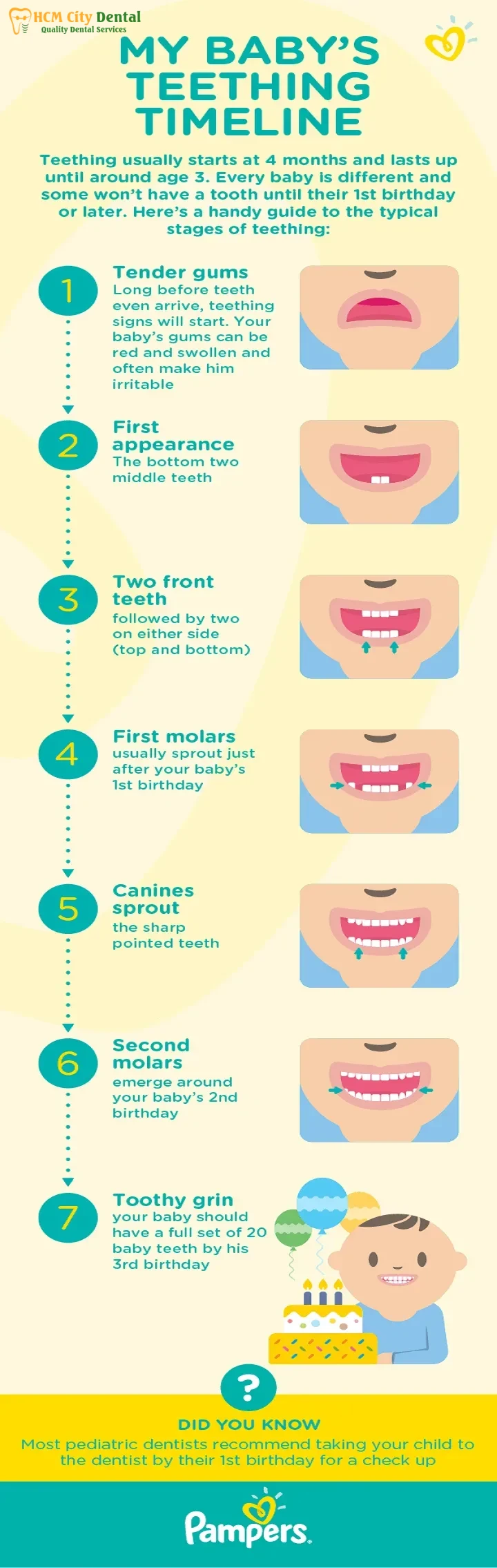 what-age-do-babies-start-teething-4-dr-cuong-hcmc-dental-clinic-dr-cuong-hcmc-dental-clinic