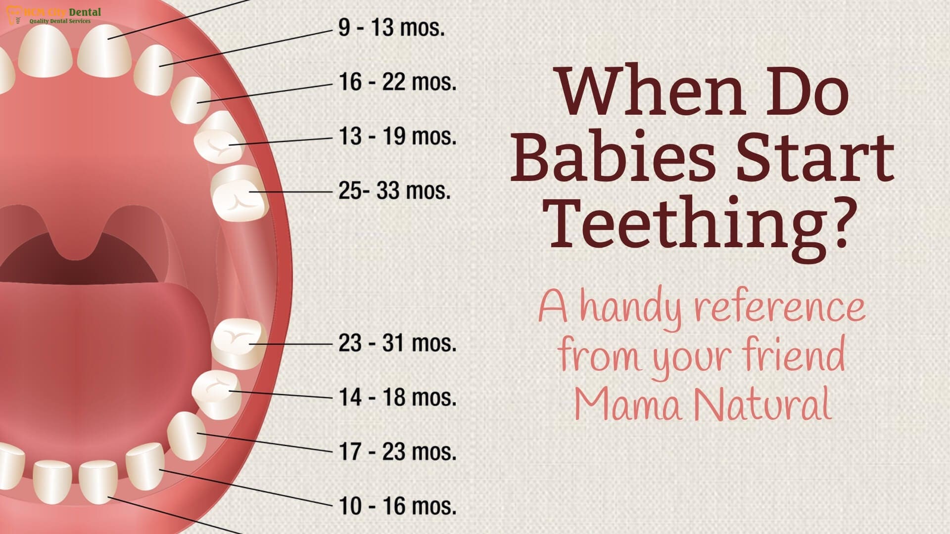 what-age-do-babies-start-teething-5-dr-cuong-hcmc-dental-clinic-dr-cuong-hcmc-dental-clinic