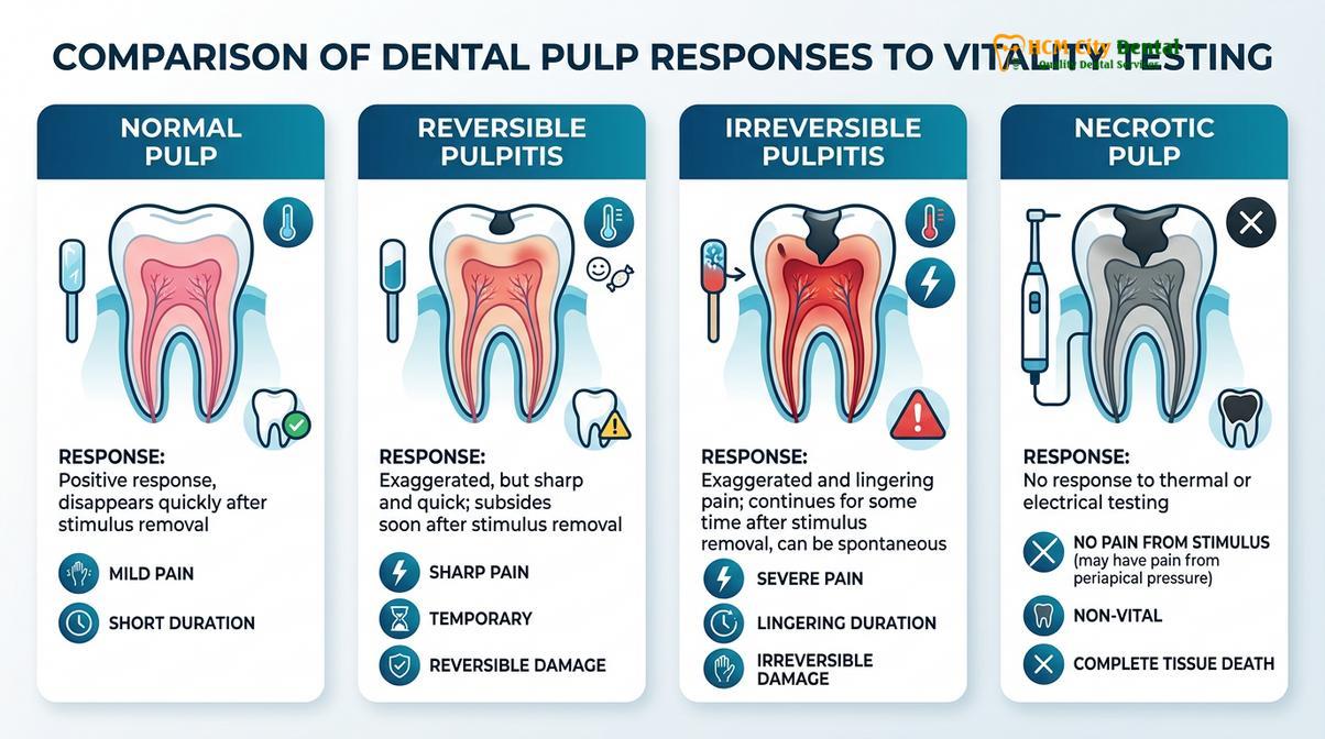 Summary diagram of Tooth Pulp Vitality Test
